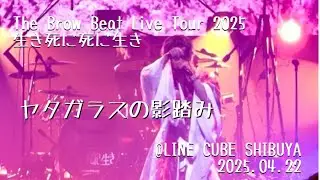 【The Brow Beat】ヤタガラスの影踏み @LINE CUBE SHIBUYA 2025.04.22