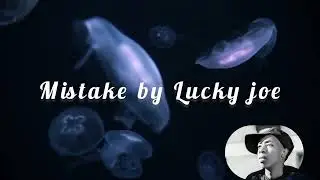 Mistake by lucky joe