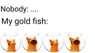 Spicy memes #252