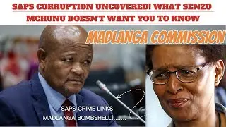 Madlanga Commission ALARMING : Senzo Mchunu EXPOSED In Explosive Testimony! SAPS SYNDICATE SHOCKING