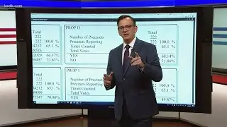 Prop D and Amendment 3: Breaking down the results and what they mean