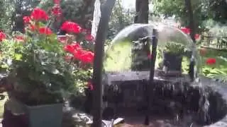 DSCF4577