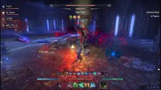 ESO Castle Thorn HM - Warden Tank, 3 DPS