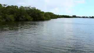 How to Locate Bait