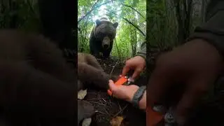 Hands Prying a Trap in a Tight Dense Thicket