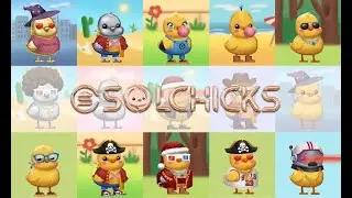 SOLCHICKS 100X IDO 2021: How I Claimed My $CHICKS And Swapped It On Raydium