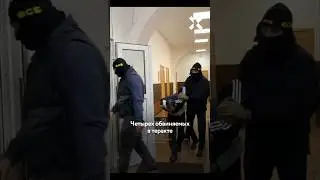 Обвиняемых в теракте в &laquo;Крокусе&raquo; арестовали и пытали