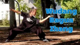 Wudang Bagua Zhang