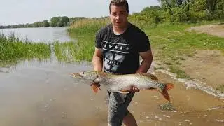 TOP 5 csuka kap&aacute;s