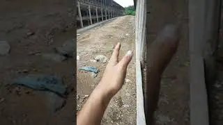 Paano PATAYIN ang mga LANGAW ng ISANG IGLAP at MAKONTROL agad ang pagdami nito? | Poultry Layers 101