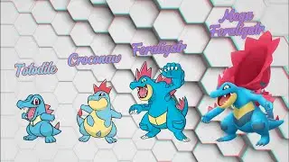 Totodile, Croconaw y (Mega) Feraligatr
