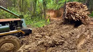 Xe Độ Chở Gỗ Keo, Một Con Đường Khó Khăn Và Thiện Hại Xe Nguy Hiểm #bòvàng 