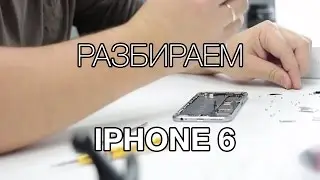 Разбираем iPhone 6. Как избежать дорогостоящего ремонта.