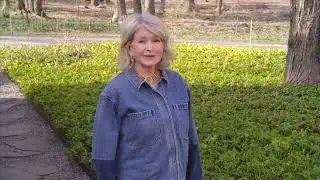 ASK MARTHA: Martha&rsquo;s Hard-Working Shrubs for Year-Round Curb Appeal