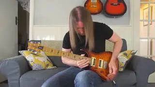 Pink Floyd - Comfortably Numb Solo - Sam Devonport cover (upside down)