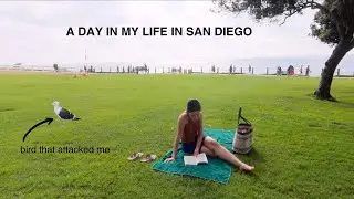 Trying a Boot Camp Morning Routine & exploring San Diego