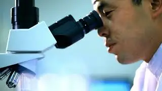 Anti-hair Loss Formulation Science Deep Dive