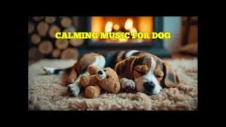 Dog Healing Relaxation Music for 12 HOURS 🐾 Sleep Aid for Calm, Happy, and Well-Behaved Pets