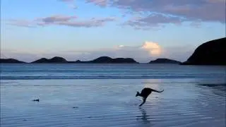Irish Moss - Space Time Blues Version