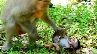 TOP CRY !! Baby Monkey Cries Seizure || What's Problem Happened Wrong??