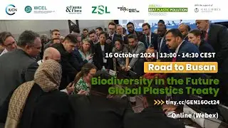 Road to Busan | Biodiversity in the Future Global Plastics Treaty