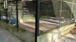 VID 20250921 173603