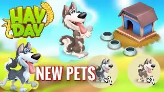 Обновление Hay Day Winter 2025: Новые питомцы - хаски и маламут.
