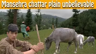 Mansehra Chattar Plain Most Beautiful Place of Pakistan