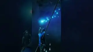 Dane Ravengard sings a song | #charlie_bones on #Twitch