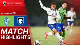 Shonan Bellmare vs. Gamba Osaka - Game Highlights | 2025 J1 LEAGUE | MW28