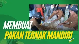 Membuat Pakan Ternak Mandiri