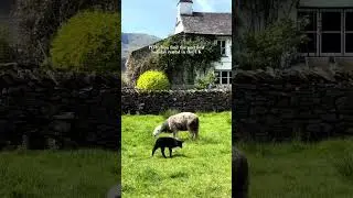 Prettiest Holiday Rental In The UK
