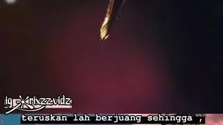 Bosskur gamer
