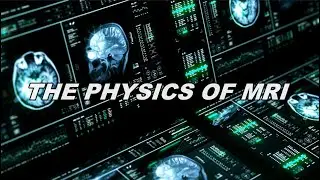3   Physics of MRI   Protons in a Magnet