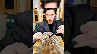 Would You Eat This Deep Sea Monster? 🦐🌊 | Giant Isopod Dish!