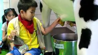 Video - Milking Cow at Baby Boss 13 July 2011.AVI