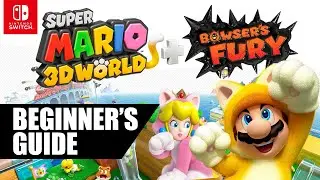 Beginner's Guide to Super Mario 3D World + Bowser's Fury (2023)