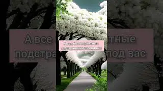 Анализ Матрица Души стоит 3000 ₽                   Анализ Матрица Души + аудиоразбор- 4500 ₽