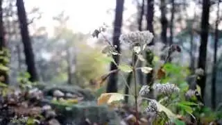 Create Wonder in Everyday Life