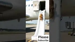 Cub saved the lives of millions of passengers 😭 । #aivideo #cow #rescue #shorts