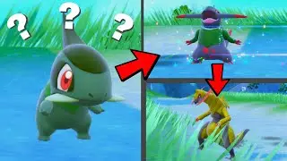 How to find Axew and Evolve it into Fraxure then Haxorus in Pokemon Scarlet & Violet