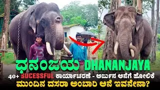 ಜನಮನ ಗೆದ್ದ ಆನೆ ಧನಂಜಯ -Dhananjaya the Royal Elephant – A Symbol of Pride