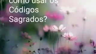 AGESTA E OS C&Oacute;DIGOS SAGRADOS NUM&Eacute;RICOS