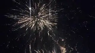 2 x NISHIKI MINES 56 SHOT CAKE BY RACCOON FIREWORKS NICE HANG TIME 4/1