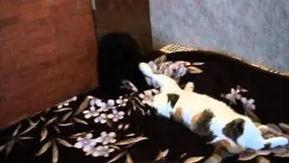 MOV01852