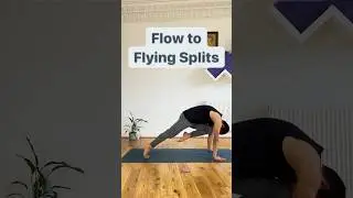 Flying splits flow 🍃 #epk #flyingsplits #koundinyasana #yogaflow #yogasequence