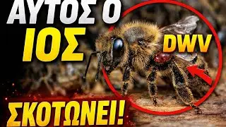 DWV: &Omicron; &Alpha;ό&rho;&alpha;&tau;&omicron;&sigmaf; &Epsilon;&chi;&theta;&rho;ό&sigmaf; &mu;έ&sigma;&alpha; &sigma;&tau;&omicron; &Mu;&epsilon;&lambda;ί&sigma;&sigma;&iota;!&Mu;&Epsilon;&Gamma;&Alpha;&Lambda;&Eta; &Pi;&Rho;&Omicron;&Sigma;&Omicron;&Chi;&Eta;!