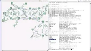 SR-TE - Constraint - dis-joint-path-Affinity - intro & hands-on