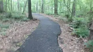Kiroli Park Stroll