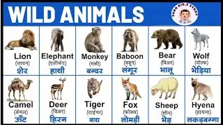 Wild animals Name with Pictures in English and Hindi l English vocabulary 